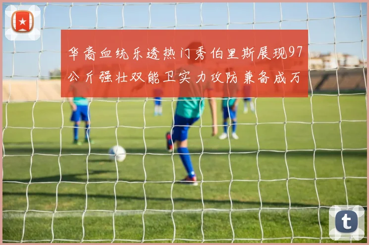 华裔血统乐透热门秀伯里斯展现97公斤强壮双能卫实力攻防兼备成万金油之选